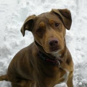 Meet your Posher, Linda